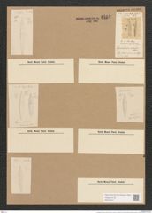 Cymatopleura marina Lewis (de-Toni-Nr.: Genus 54, Species 2412) Zeichnungen Sammlung Grunow Nr. 4862 (NHMW-BOT-W0373041)